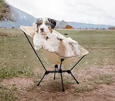 Moon Chairs: 당신이 알아야 할 모든 것